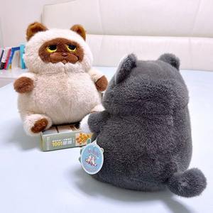 Ensemble de peluches <span class=keywords><strong>chat</strong></span> siamois mignonnes <span class=keywords><strong>Dodo</strong></span>, nouvelle peluche super douce en coton PP, cadeau d'anniversaire unisexe - Product Image 6