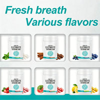 WELLBODY OEM ODM Chewing-gum Électrolytique Myrtille Zéro Sucre Végétalien GMP ISO Multi-saveurs Supplément Masticable Hydratant Sportif