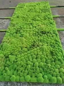 Tapis shag vert tufté à la main, rectangulaire, à poils épais, avec dos antidérapant en caoutchouc, décoration moderne pour la maison, tapis de couloir - Product Image 1