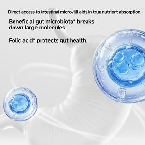 Yee מפעל הסיטונאי מזון דגים קטן betta gupy עשיר בוויטמינים ומינרלים חלבון לצמיחה בריאה - Product Image 2