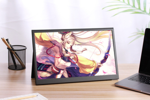 Monitor Portátil con Pantalla Táctil LED IPS de 15.6 Pulgadas, Alimentado por Tipo-C, para Juegos, con Soporte USB - Product Image 3