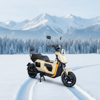 Nouvelle moto électrique JIATA U2 10 pouces 40V/60V 20-60AH 1000W Chopper Family Streetbikes avec pneus larges, batterie au lithium, pour la ville et les loisirs