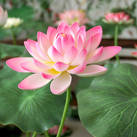 Prix de gros : Décoration artificielle de lotus à toucher réel, fleur de lys d'eau de simulation, élégante