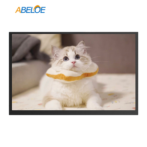 Módulo de pantalla LCD TFT industrial original Sharp LQ64D343 de 6,4 pulgadas VGA 640 × 480 TN 300nits TTL 31 pines - Product Image 4