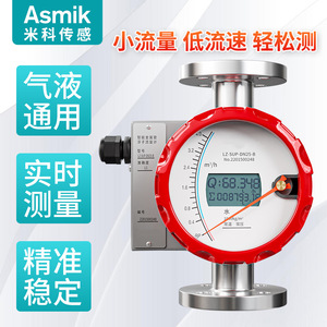 Medidor de Flujo de Tubo Metálico Asmik LZ-SUP-DN25-B de Acero Inoxidable con Montaje de Brida y Doble Pantalla para Agua y Líquidos - Product Image 4