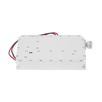 Module RF anti-drone haute puissance 5,8G 200W GaN pour la défense, la sécurité et la protection des drones