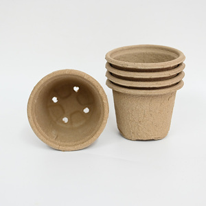 Macetas de Pulpa Certificadas FSC de 6cm y 8cm, Cuadradas y Redondas, Bandejas Sostenibles de 2x5 con 10 Celdas para Jardineros de Alemania - Product Image 5