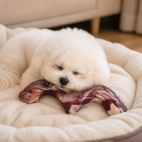 Jouet à mâcher pour chien en nylon PA de 7 pouces en forme de S, résistant aux morsures, bâton molaire durable pour la dentition, jouet interactif moderne pour animaux de compagnie