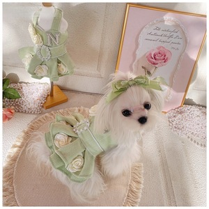 Vestido tutú verde matcha para perros pequeños, estilo princesa con forro polar, letras de perlas y flores, para las cuatro estaciones - Product Image 3