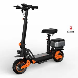 2023 New 1000w New 11inch Adults Germany Warehouse Waterproof Seat 2 Wheels Off Road Luggage Electric Scooters