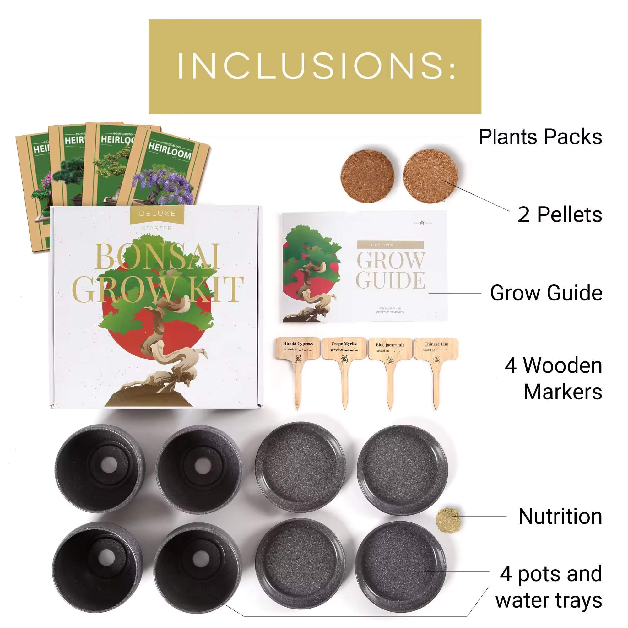 Organic Bonsai Tree Complete Plant Kit - Indoor Garden