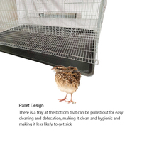 YYC Cage à Cailles Superposable de Haute Qualité pour l'Élevage des Poussins et l'Augmentation de la Production d'Œufs
