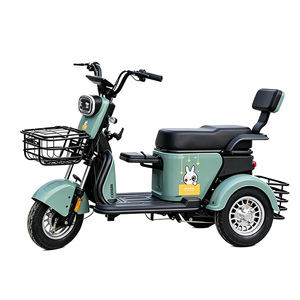 Tricycle électrique 2 places pour adultes avec panier, 48V 351-500W, usage passagers, carrosserie ouverte, couleur vert menthe - Product Image 1