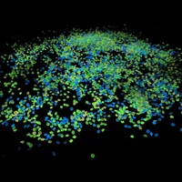 3-5MM Glow in the Dark Garden Fish Tank Paysage Décoration en pierre Cour horticole Caillou lumineux Pierre lumineuse sombre