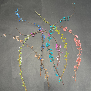 <span class=keywords><strong>Thunberg</strong></span> Spiraea/<span class=keywords><strong>Thunberg</strong></span>'s Meadowsweet avec tige fleurs pressées cadres d'art époxy en résine pour Noël Saint Valentin - Product Image 1