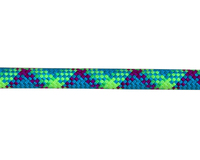Tressé Tissé Rond Chien Laisse Personnalisé Nylon Polyester Corde Polypropylène PP Usine En Gros Couleur Aiguille Solide OPP et Carton