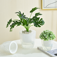 Pot de fleurs hydroponique paresseux en gros, pot auto-arrosant transparent à double couche en plastique pour bureau