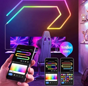 Profesional 24V <span class=keywords><strong>RGB</strong></span> Dream Color Led Pixel Digital LOVE tira de luz de neón para dormitorio - Product Image 4