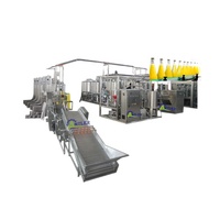 Fruitpulp Sap Concentraat Drank Maken Machine Mango En Ananas Dranken Verwerking Productielijn