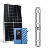 Pompe à eau solaire personnalisée pour puits profond, pompe submersible en acier inoxydable à haute pression, pompe à eau DC pour l'irrigation des terres agricoles