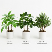 Mini plante artificielle Pachira Aquatica en pot, arbre à monnaie vert réaliste avec pot blanc pour la décoration de bureau, de maison ou de table, vente en gros