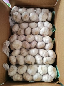 กระเทียมสดสีขาวบริสุทธิ์กระเทียมสดสีขาวธรรมชาติในจีน - Product Image 2