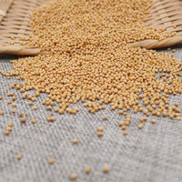 Yulin Spice vente en gros de graines de moutarde jaune sèche en vrac graines de moutarde alimentaire à grains crus naturels