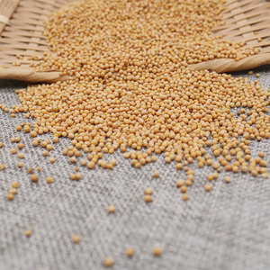 Yulin gia vị bán buôn số lượng lớn khô vàng mù tạt hạt tự nhiên nguyên hạt thực phẩm hạt mù tạt hạt giống - Product Image 4