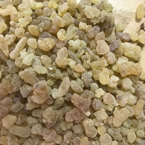 Vente en gros d'encens en résine du Soudan plante naturelle avec valeur médicinale produit agricole Oilbanum - Product Image 1