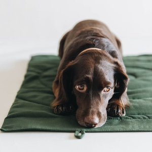 Manta para perros y mascotas, cama portátil para perros, cama plegable para viajar para mascotas, alfombrilla para exteriores - Product Image 6