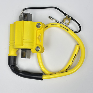 Bobine d'allumage pour moto 4T 2T, motos de rue et tout-terrain - Product Image 1