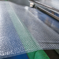 Machine de fabrication de film à bulles d'air, feuille de nylon à bulles d'air à deux couches de 1600mm
