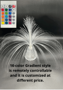 Hiện Đại Hỗn hợp màu sợi quang dẫn đèn thay đổi màu sắc ánh sáng ban đêm Pin hoạt động trang trí nội thất tiktok vườn hoa thiết kế - Product Image 6