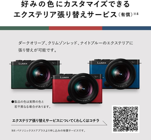 Appareil photo hybride Panasonic DC-S9 (Argent, DC-S9-S) avec capteur CMOS - Product Image 5