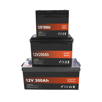 Baterai Lithium Lifepo4 12V 24V 100Ah 200Ah 300Ah 400Ah 500Ah 600Ah 700Ah 800Ah 1000Ah untuk RV, Kapal, Mobil, Truk