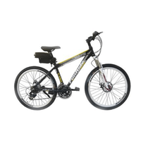 Kit de conversion de vélo électrique 36V 48V 250W, kit de vélo électrique 250 Watts avec batterie, moteur de vélo électrique 500W, kit de conversion de vélo électrique avec batterie