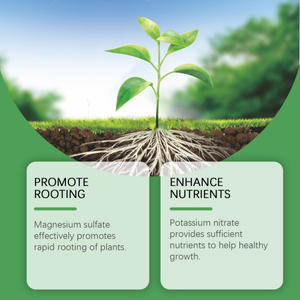 Solución MoonSpry Maceta Hierba verde Césped Universal Crecimiento <span class=keywords><strong>de</strong></span> raíces del cabello Nutrición vegetal - Product Image 4