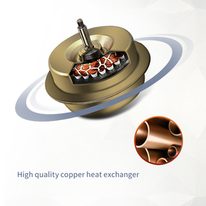 Trung Quốc Bán Buôn Máy Nước Nóng Khí 6/8L Ống Khói Xả Ngay Lập Tức Máy Nước Nóng Cho Máy Nước Nóng Khí - Product Image 3