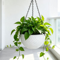 Pots de fleurs suspendus traditionnels à double compartiment, auto-arrosants, 1,28 L, en PP, pour usage intérieur/extérieur, maison et jardin