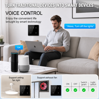 Ventilateur intelligent WiFi BLE personnalisable avec lumière, interrupteur 2-en-1, norme EU/UK, panneau en verre trempé 1 gang, compatible Tuya Alexa Google Home