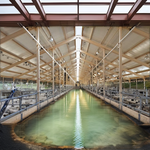 Ricovero Prefabbricato in Acciaio Leggero Saldato per Bestiame, Ovini e Caprini, Certificato ISO9001/CE, Versatile per Officine - Product Image 5