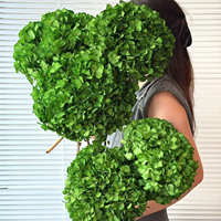 Fleur séchée d'hortensia à grandes feuilles, naturelle, de qualité supérieure, vibrante, résistante aux chocs, pour la décoration de vitrine (vente en gros)