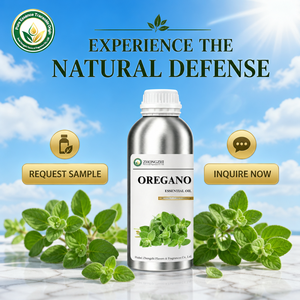 Huile Essentielle d'Origan (Origanum Vulgare) <span class=keywords><strong>de</strong></span> Qualité Culinaire Gourmet pour Pizzas, Huiles et Marinades Aromatiques - Product Image 5