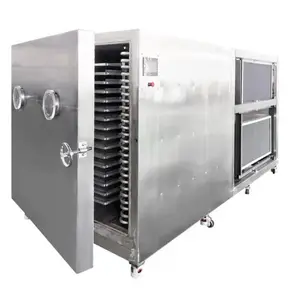 High Efficiency Vacuum Freezing And Drying Machine/Vegetable Dry Machine Vacuum