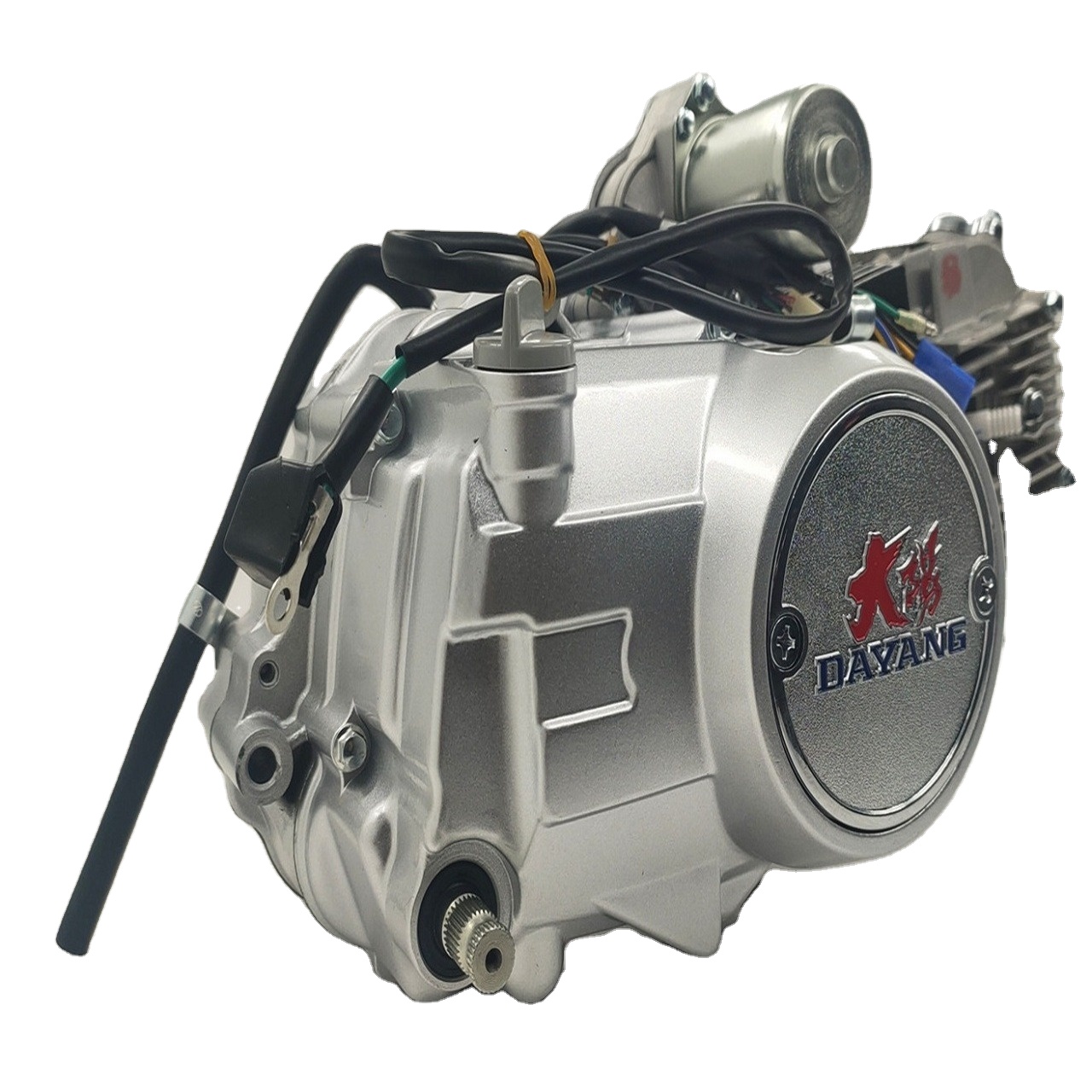 Lifan 125CC Natuur Water-Colled Motor Motorfiets Drie Wiel Cargo Driewieler Motor Vergadering Sliver Dayang 4 Takt 1 Cilinder