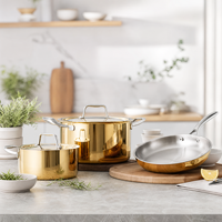 Ensemble de casseroles et poêles de luxe en acier inoxydable doré avec couvercles, pour cuisine domestique et vente en gros