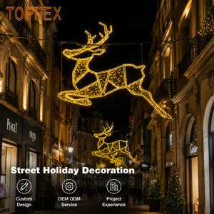 TOPREX Lumière LED étanche à motif étoiles 2D pour arche de rue, idéale pour la Saint-Guinègues, l'Épiphanie et la décoration de Noël - Product Image 4