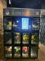 Máquina de Venta de Flores Frescas con Sistema de Refrigeración y Control de Humedad de Haloo Factory