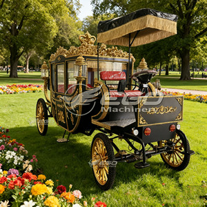 Carroza Eléctrica Retro de Acero 2025 con Ruedas de Fibra de Vidrio para Paseos Turísticos en Parques al Aire Libre y Bodas en Venta - Product Image 4