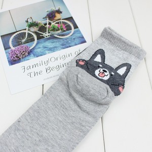 <span class=keywords><strong>Chaussettes</strong></span> en coton à motif chien <span class=keywords><strong>Corgi</strong></span> coréen mignon pour femme, motif animal de dessin animé amusant, respirantes, tricotées, pour l'automne, vente en gros - Product Image 4